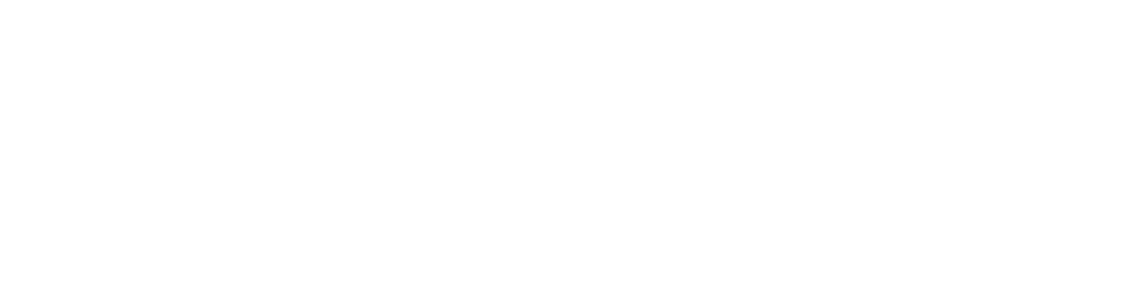 Partnership Playbooks